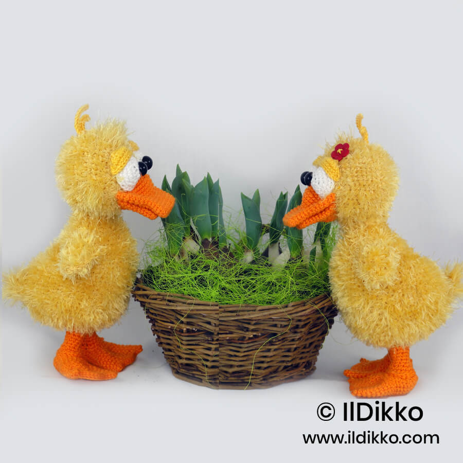 WSquare Ducklas and Doris the Ducks 22