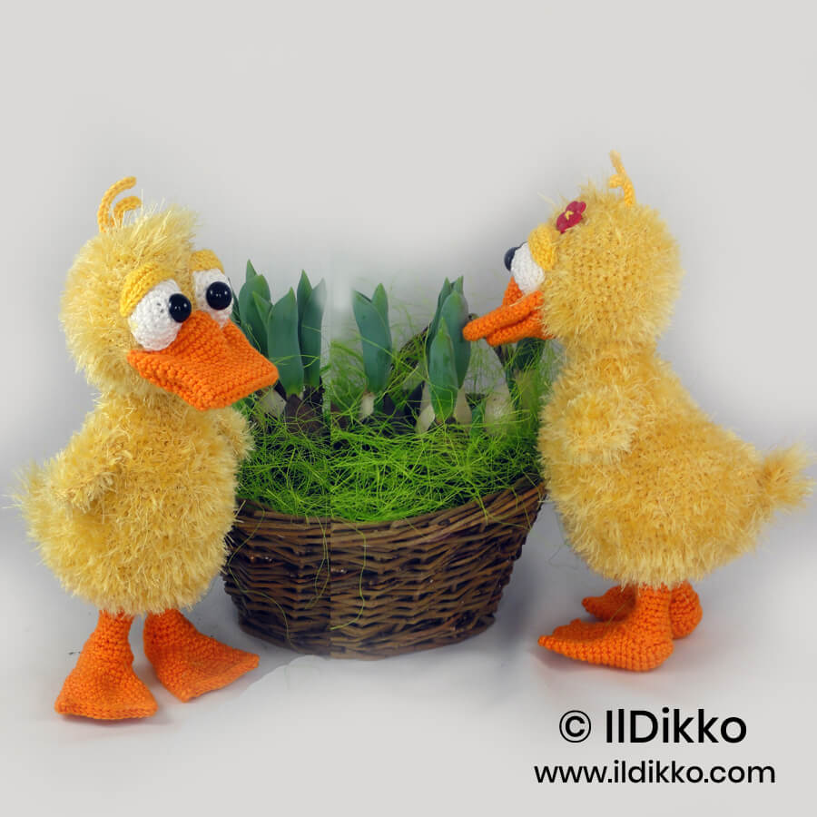 WSquare Ducklas and Doris the Ducks 23