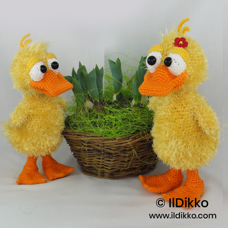 WSquare Ducklas and Doris the Ducks 4