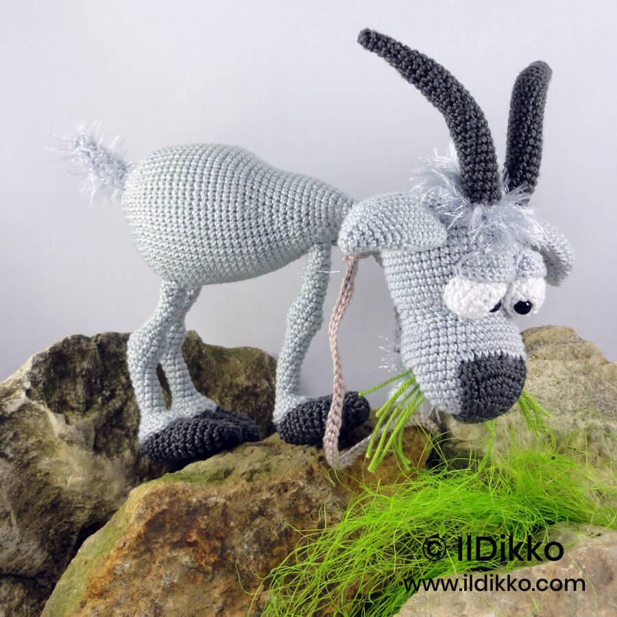 WSquare Gus the Goat 56