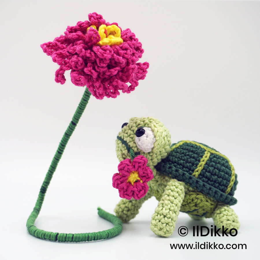 WS Birtle the Turtle XS 1